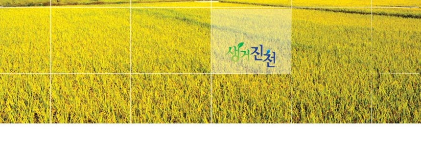 2025년 햅쌀 진천농협 생거진천 알찬미 상등급 10kg_020