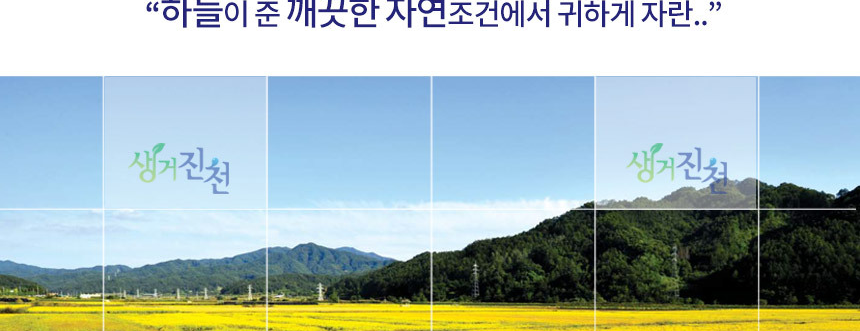 2025년 햅쌀 진천농협 생거진천 알찬미 상등급 10kg_019