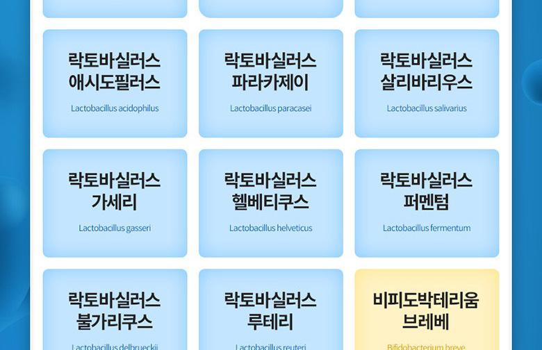 K1619229_016.png