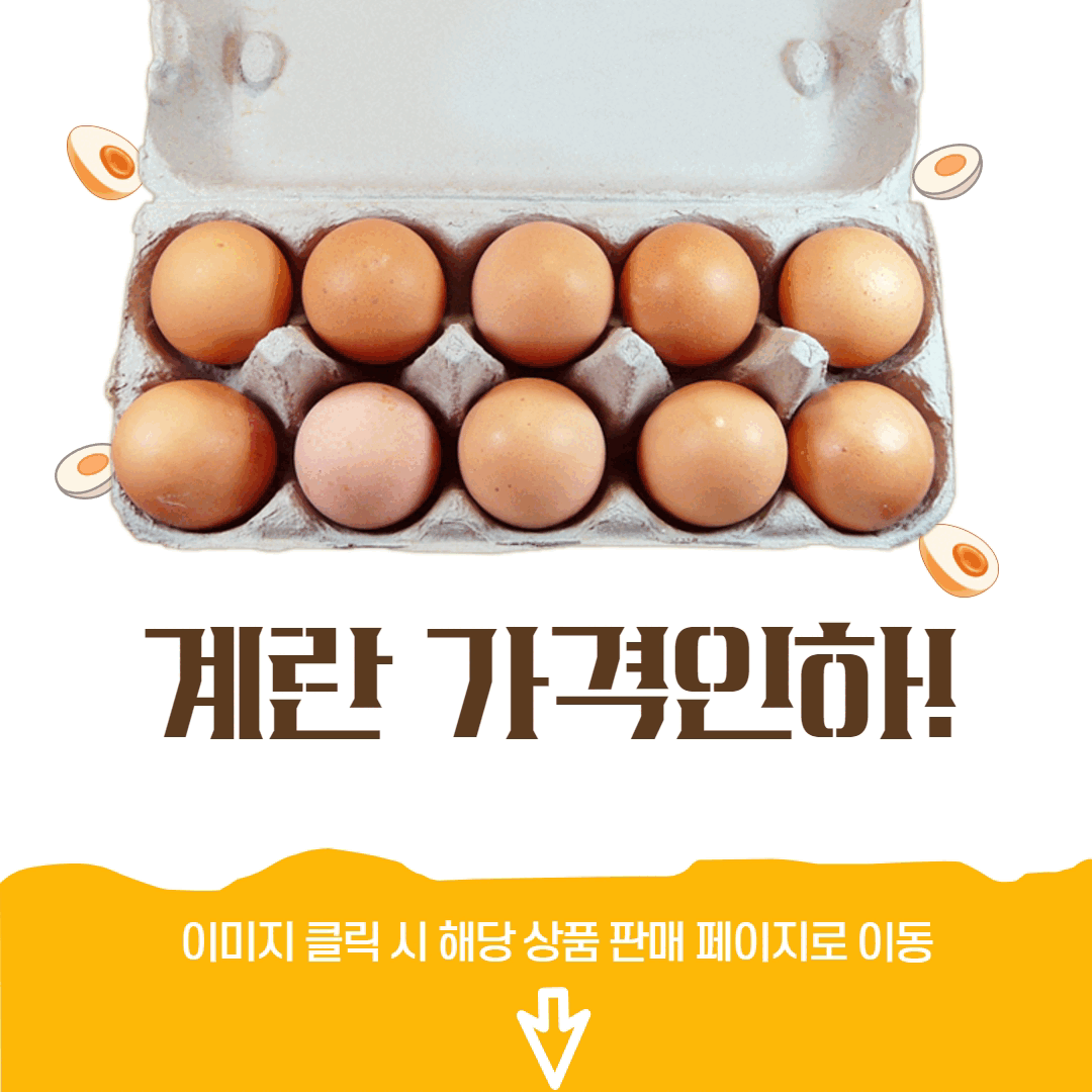계란2.gif