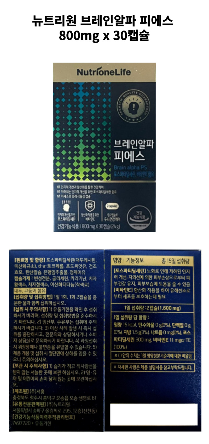 브레인상세.jpg