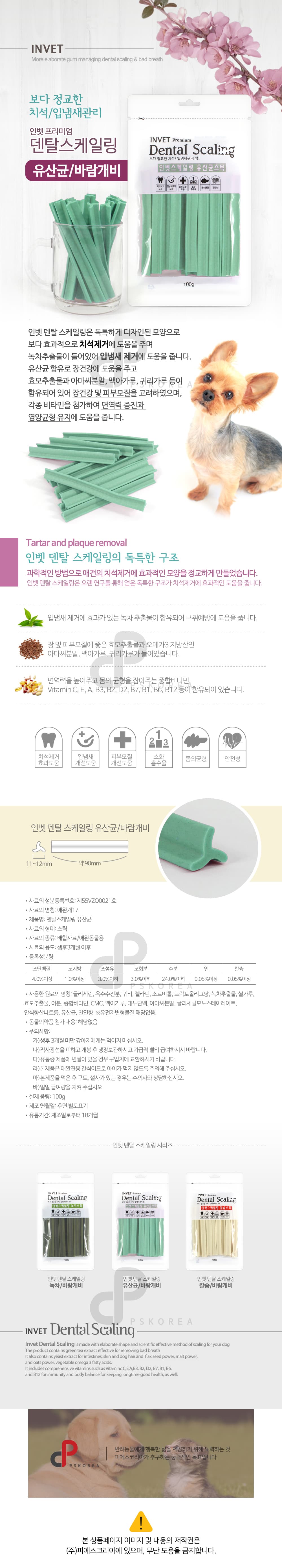 강아지 덴탈껌 강아지 치석 껌 뼈다귀 유산균 스케일링 간식 구강 반려동물 덴탈케어 반려견 기능성 치아 상세 이미지 1