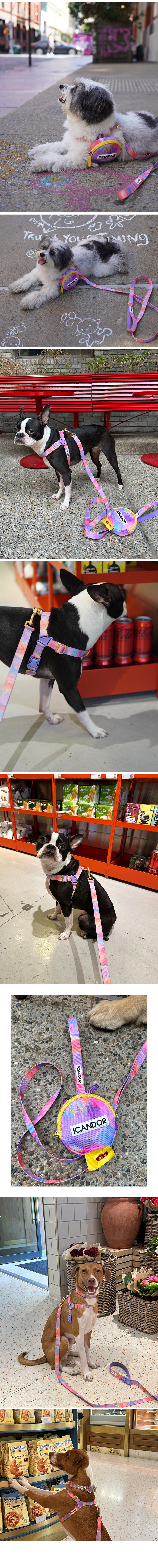 2_이미지_밀키웨이 NYC1-1.jpg