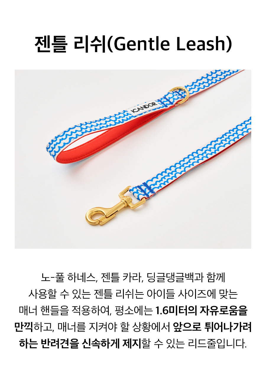 8_젠틀리쉬_서프라이더.jpg