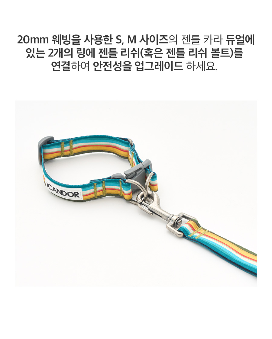 7_젠틀카라듀얼2_Ripple.jpg