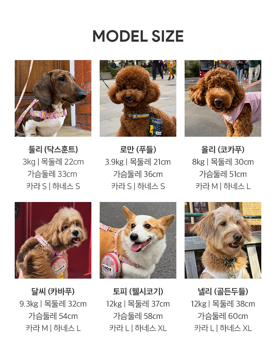 14-1_모델사이즈.jpg