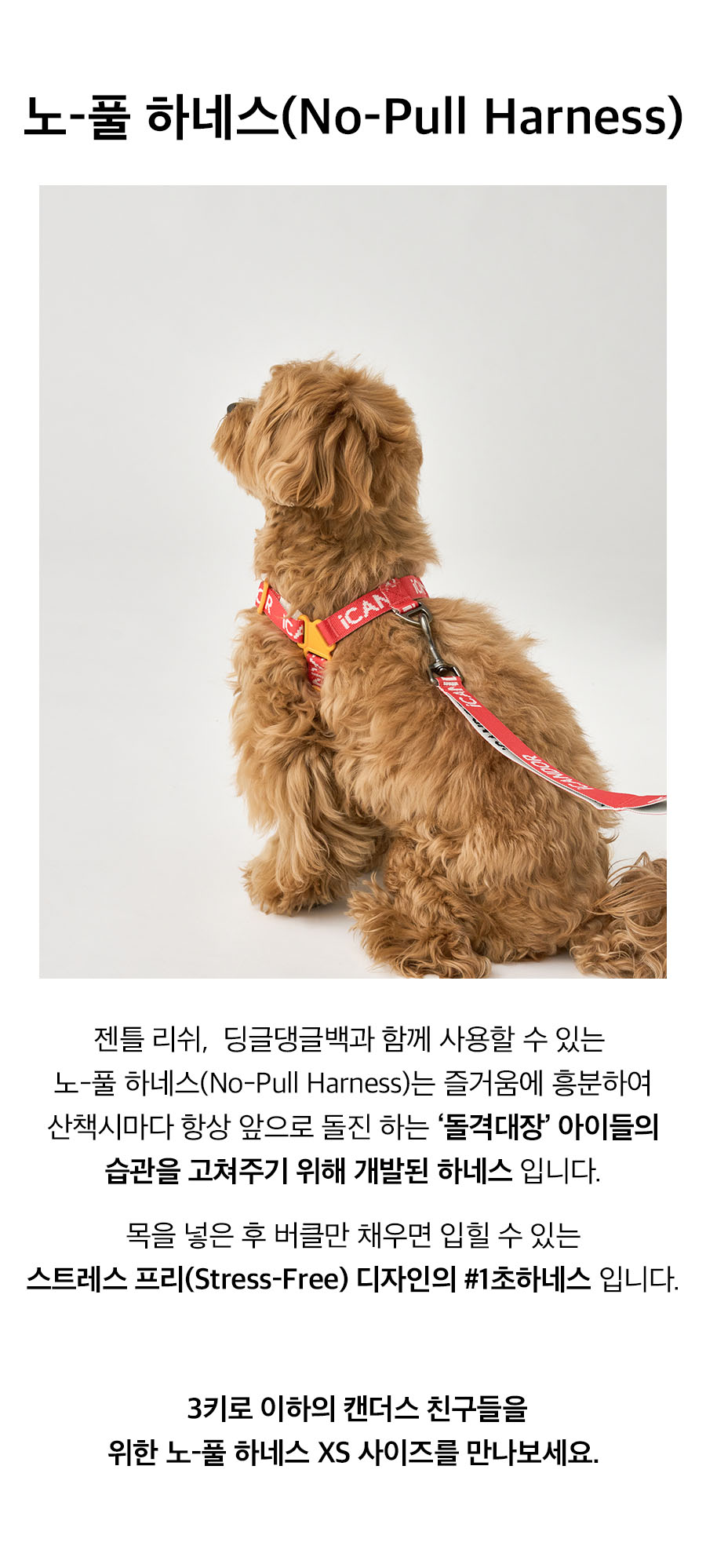 3__노풀하네스_시그니처.jpg
