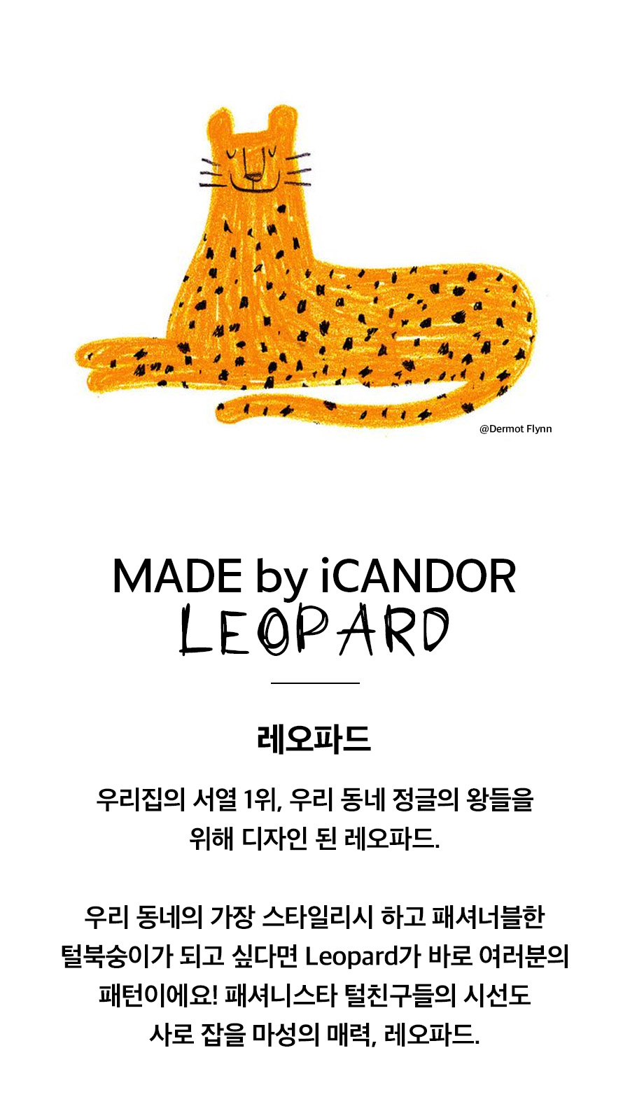2-3_메인스토리_레오파드.jpg