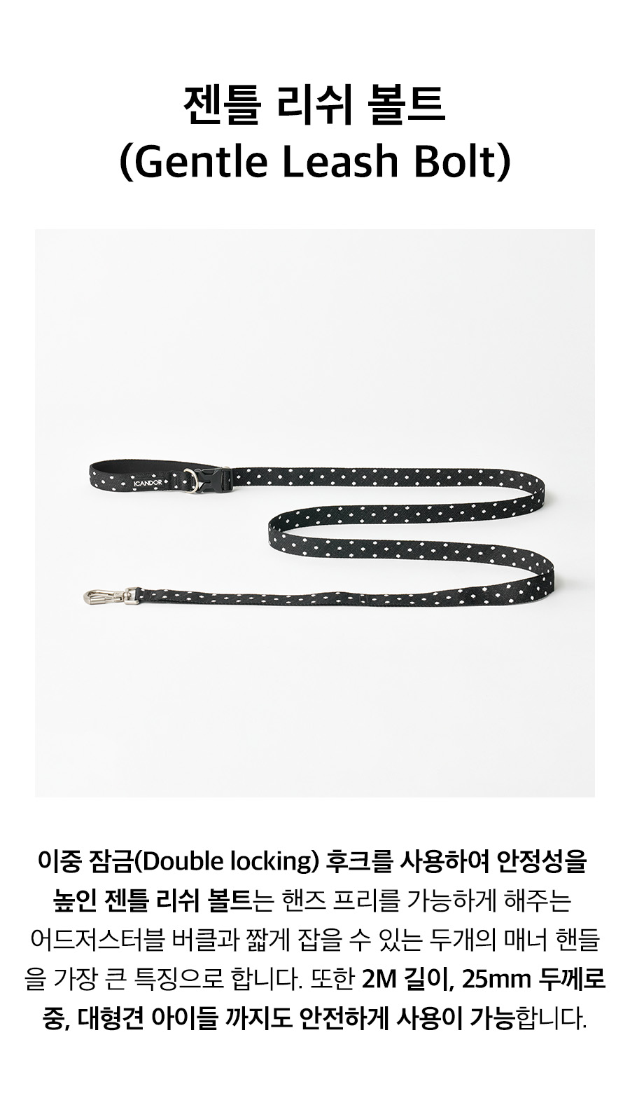 2_라인변_볼트_폴카도트.jpg