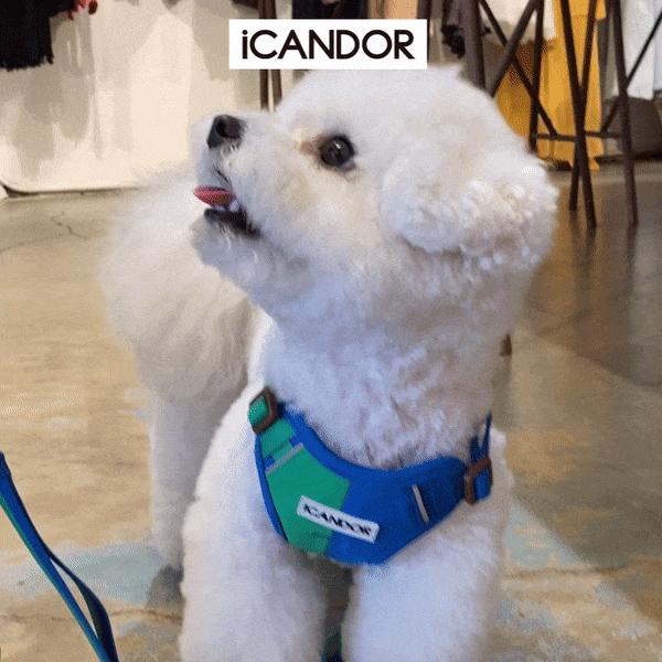 12_포레스트스너글gif.gif