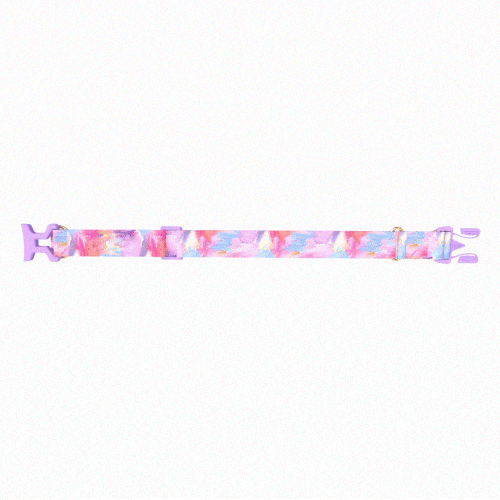 6_듀얼모션.gif