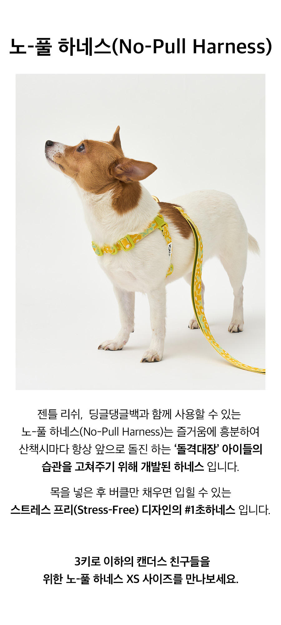 5_상세페이지.jpg