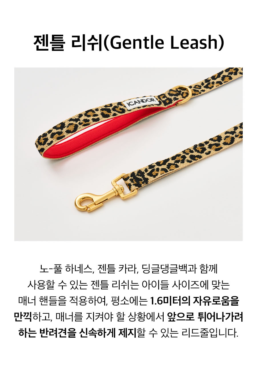 9_젠틀리쉬_레오파드.jpg