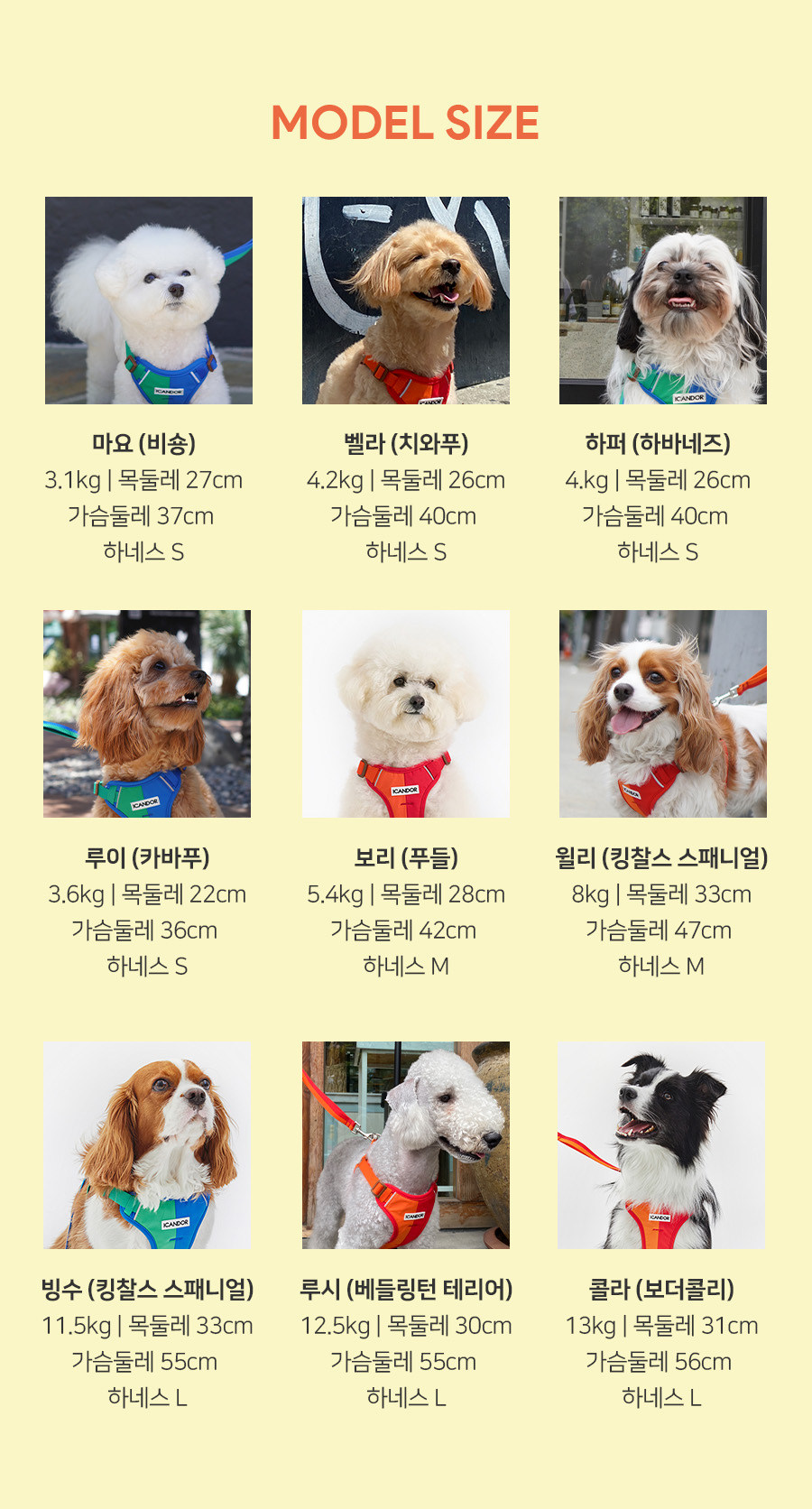 34_워크_모델사이즈.jpg