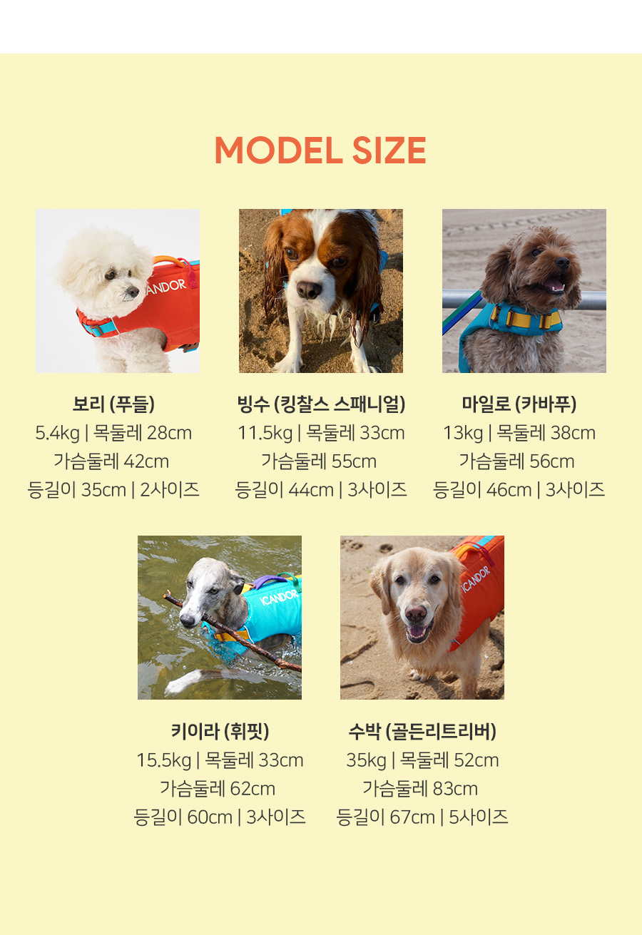 9-모델사이즈_포세이버.jpg