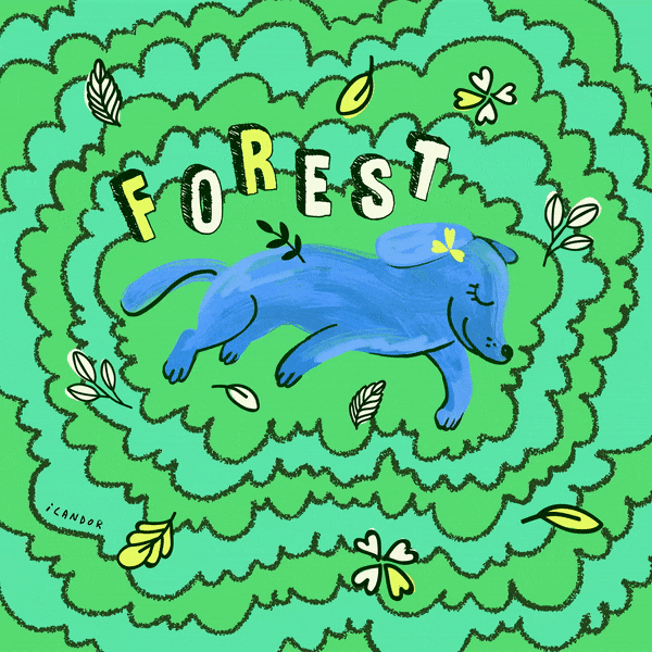 3_포레스트.gif