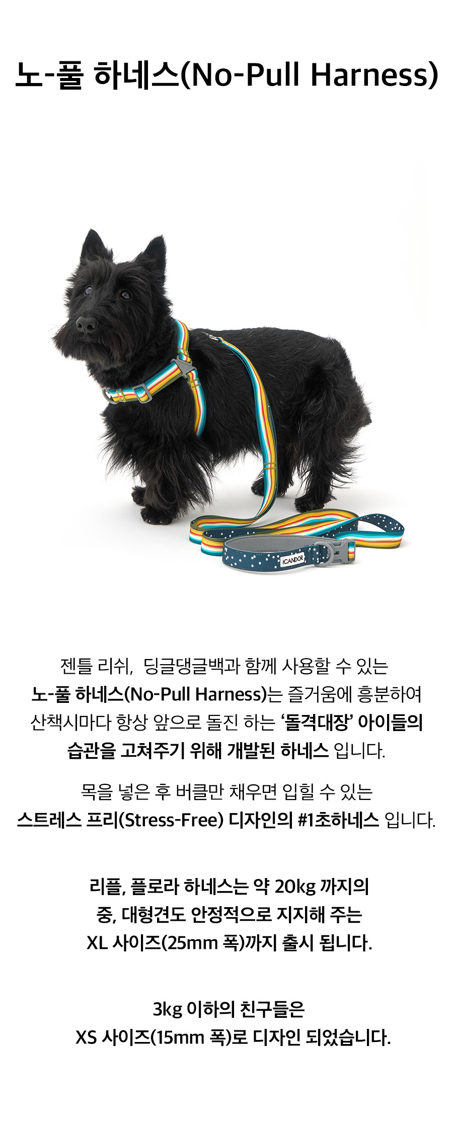 3_노풀하네스_Ripple.jpg