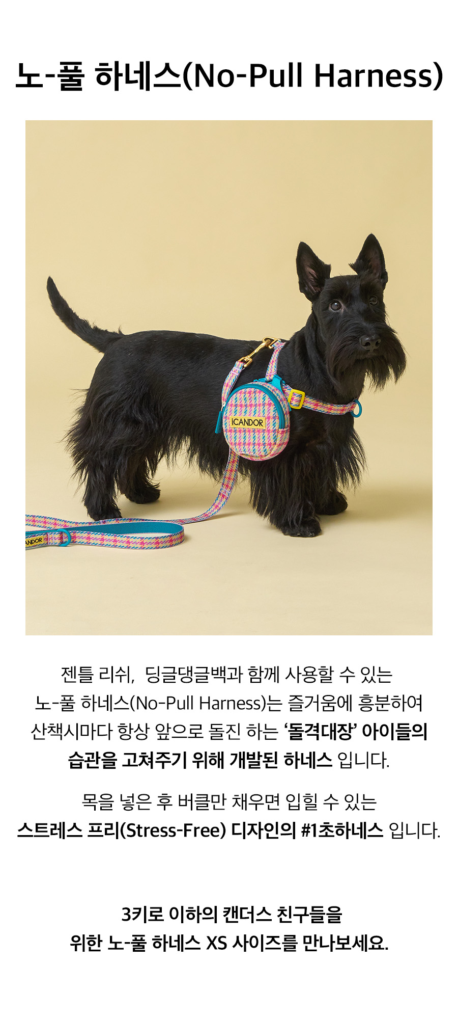 5_노풀하네스_라인변.jpg