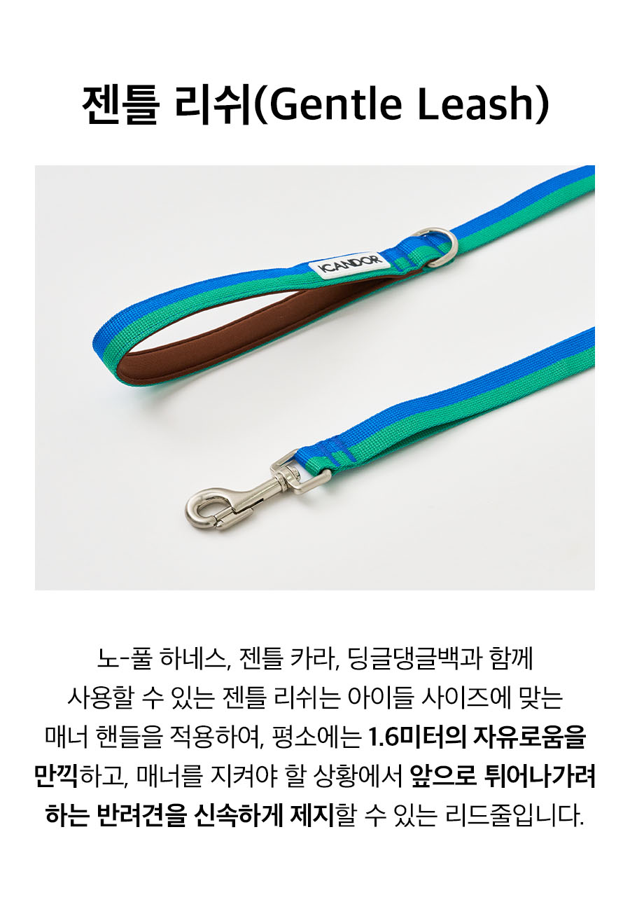15_젠틀리쉬_포레스트.jpg