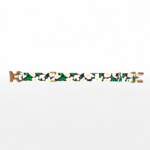 6_빅피쉬.gif