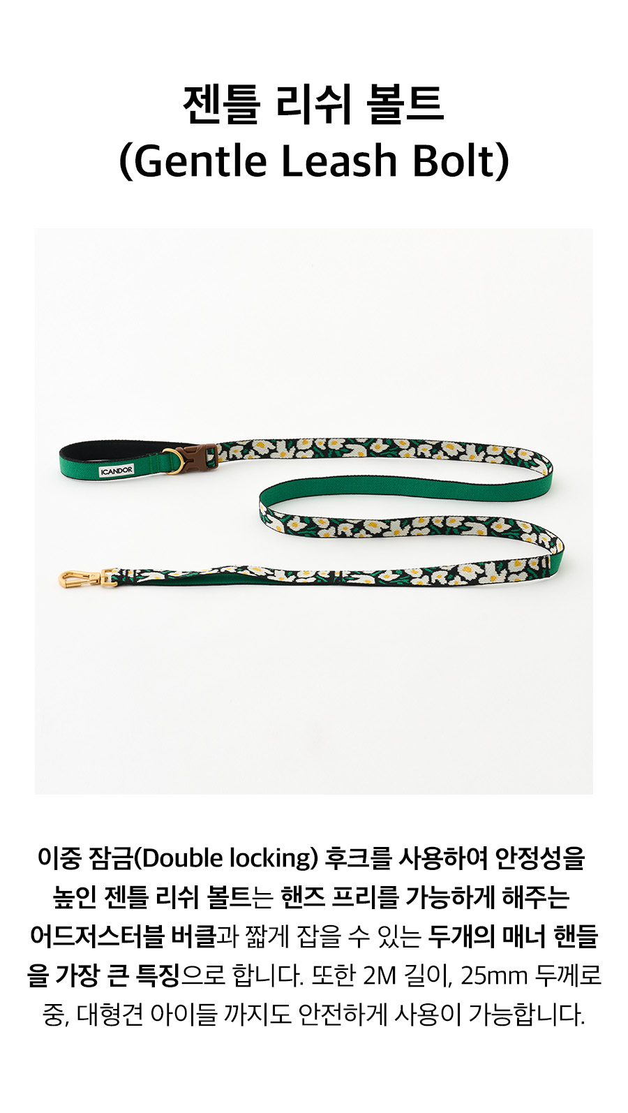 30_젠틀리쉬볼트_빅피쉬.jpg