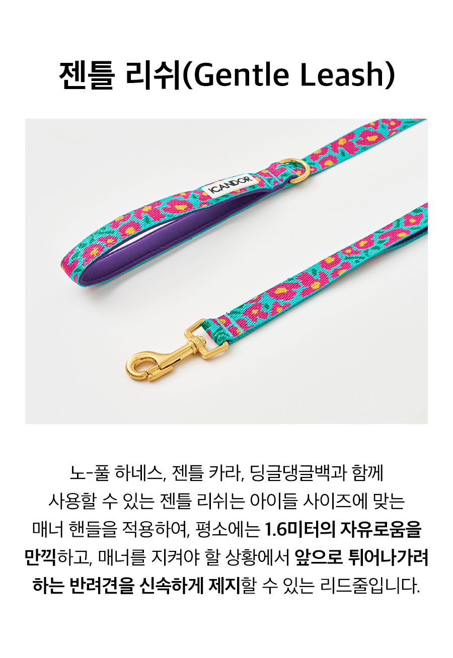 12_젠틀리쉬_빅피쉬민트.jpg