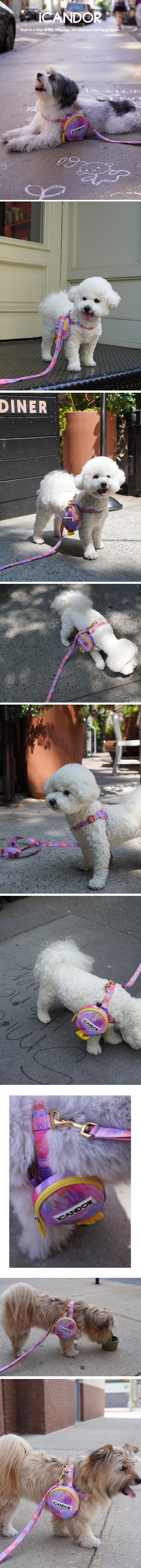 1_이미지_밀키웨이 NYC1-1.jpg