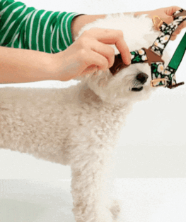 6-2빅피쉬 착용방법(용량조절).gif