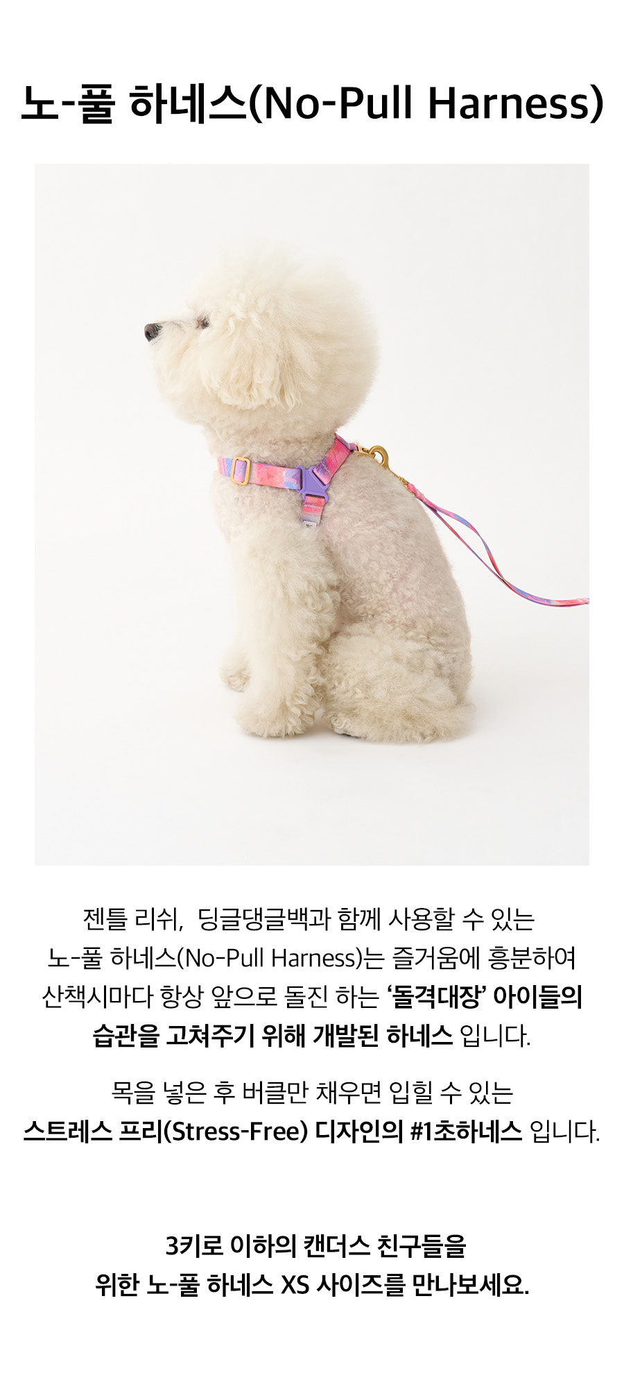 5_노풀하네스_밀키웨이.jpg