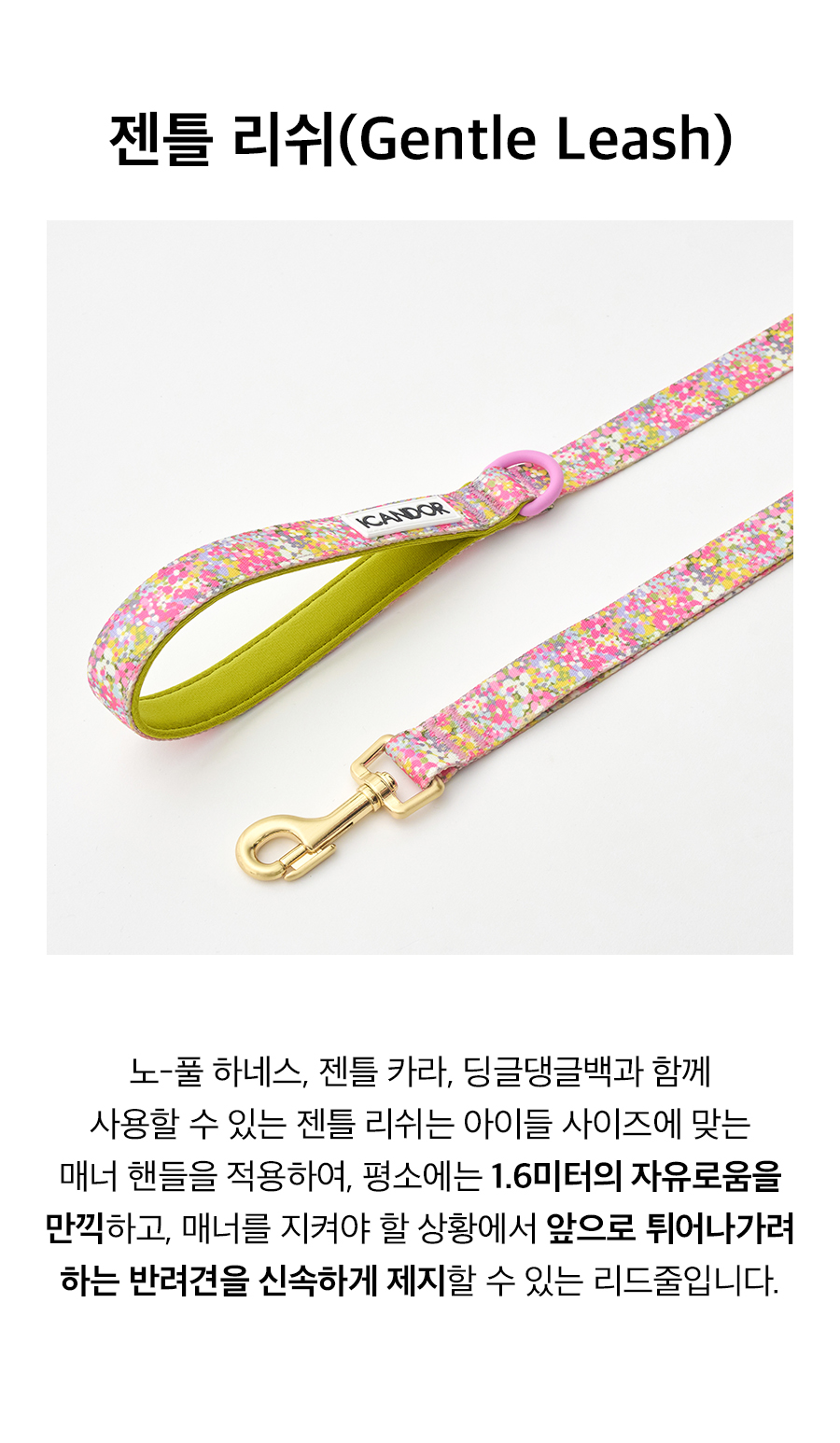 3_젠틀리쉬_ Flora.jpg