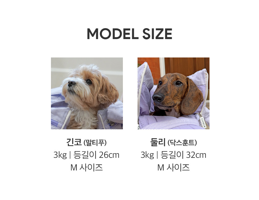 15_모델사이즈.jpg