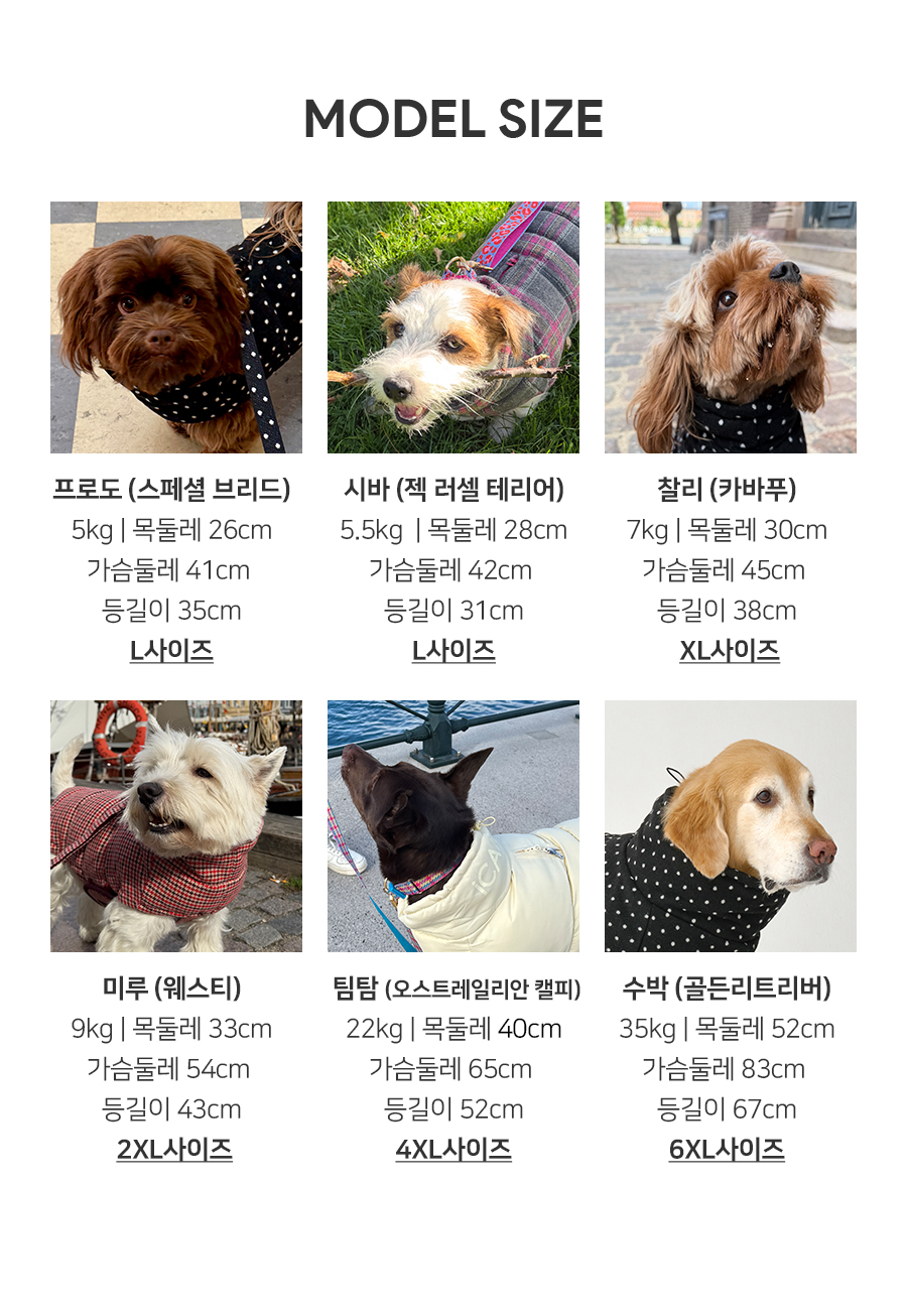 7-2_모델사이즈.jpg