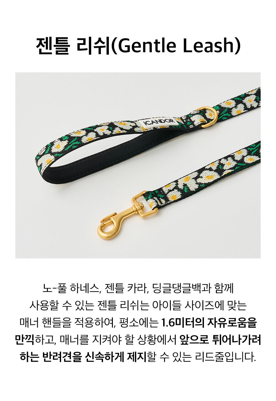 10_젠틀리쉬_빅피쉬.jpg