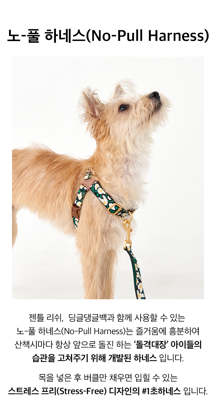 5_노풀하네스_상세1_빅피쉬.jpg