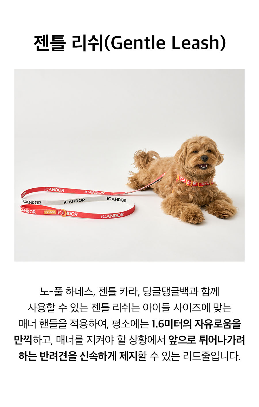 3_젠틀리쉬_시그니처.jpg
