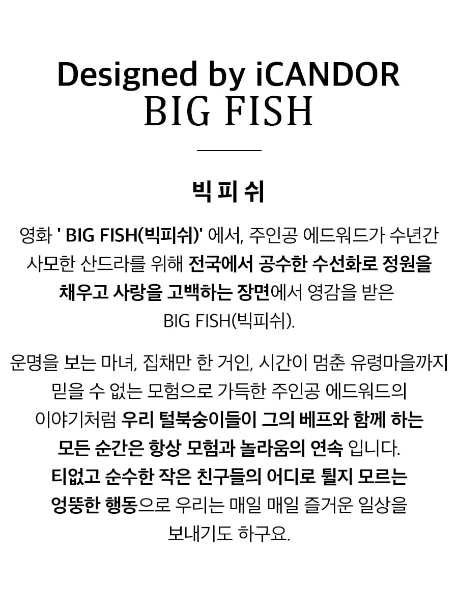 3_빅피쉬 스토리.jpg