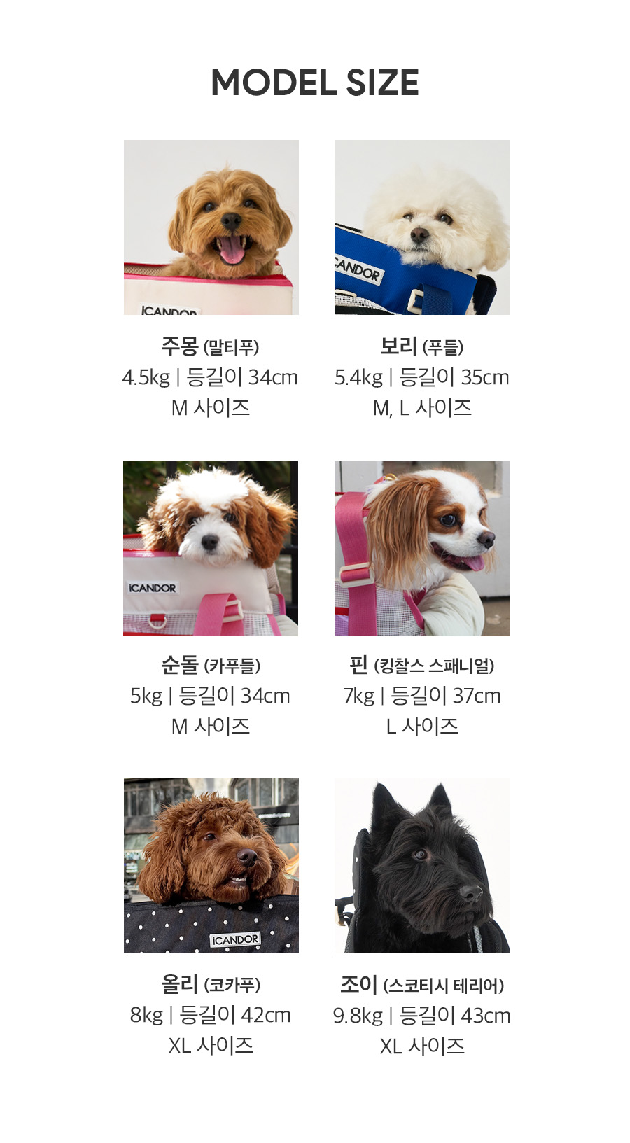 11_모델사이즈.jpg