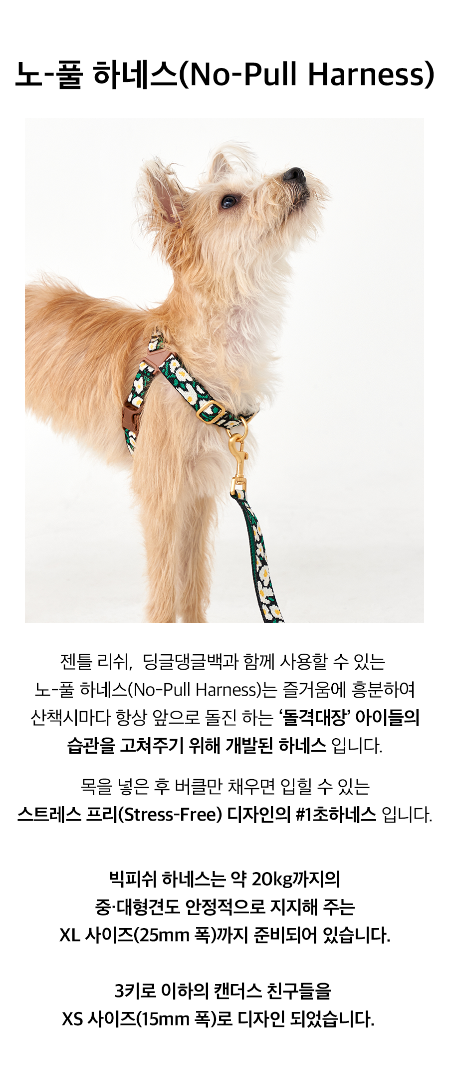 3-3_노풀하네스_빅피쉬.png