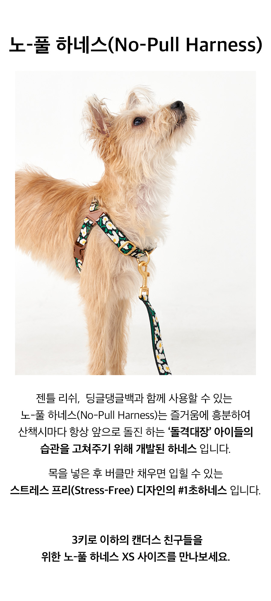 5_노풀하네스_빅피쉬.jpg