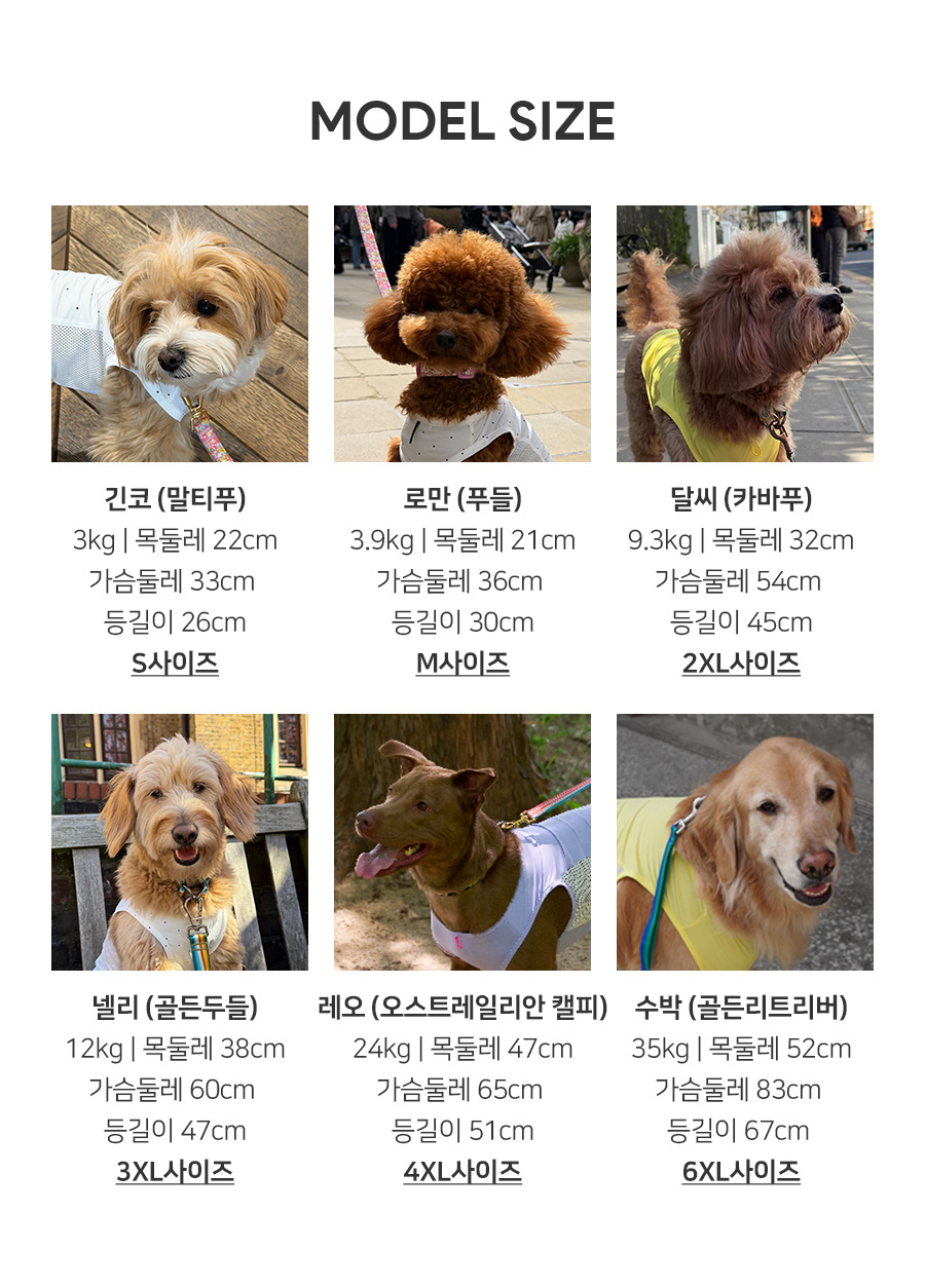 6-2_모델사이즈.jpg