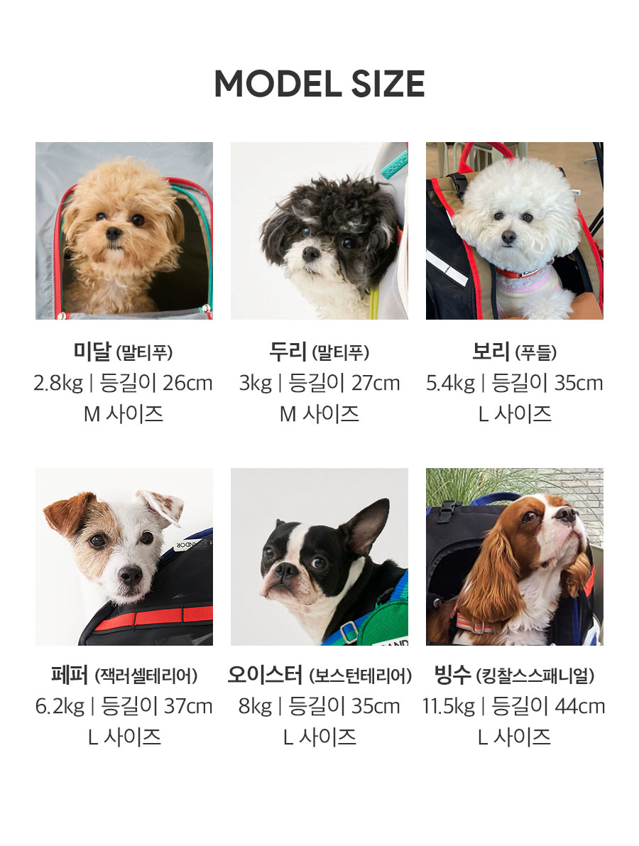 29_모델사이즈.jpg