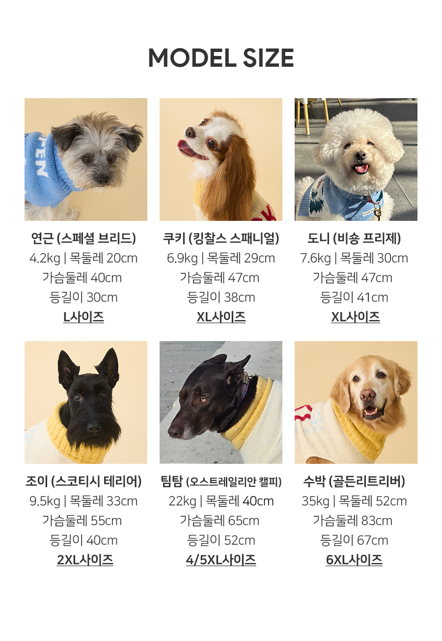 8-2_모델사이즈_25FW_니트.jpg