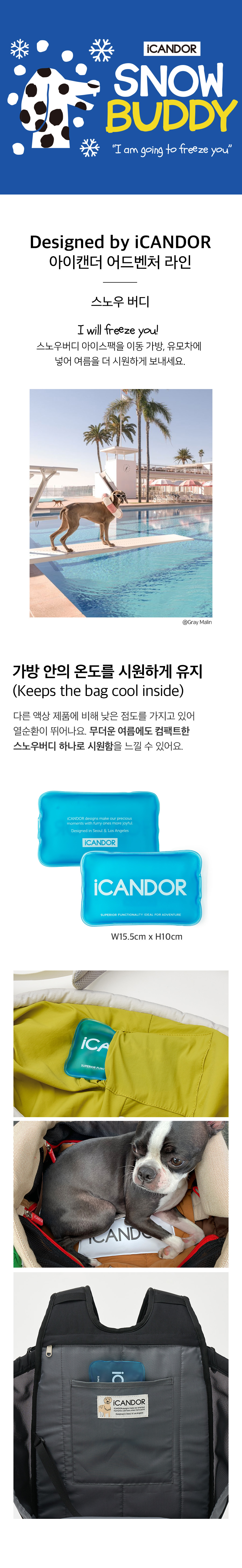 스노우버디1.jpg