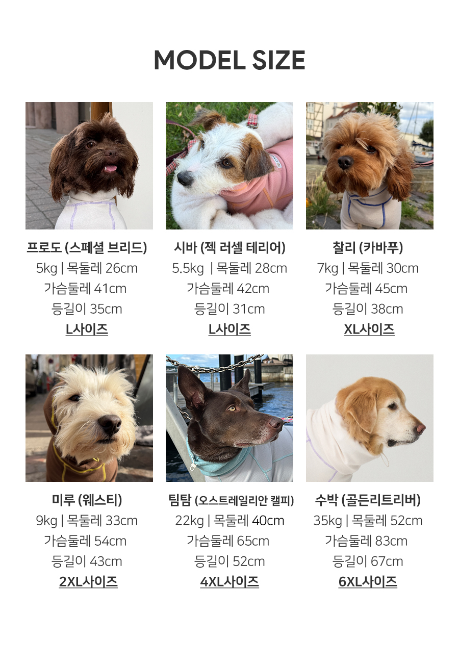 8_모델사이즈_26FW_스누드탑,수트.jpg