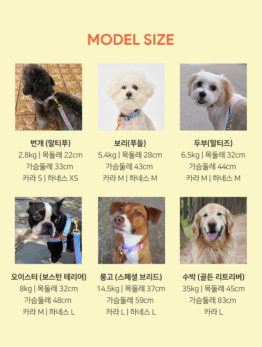 8_워크_모델사이즈.jpg