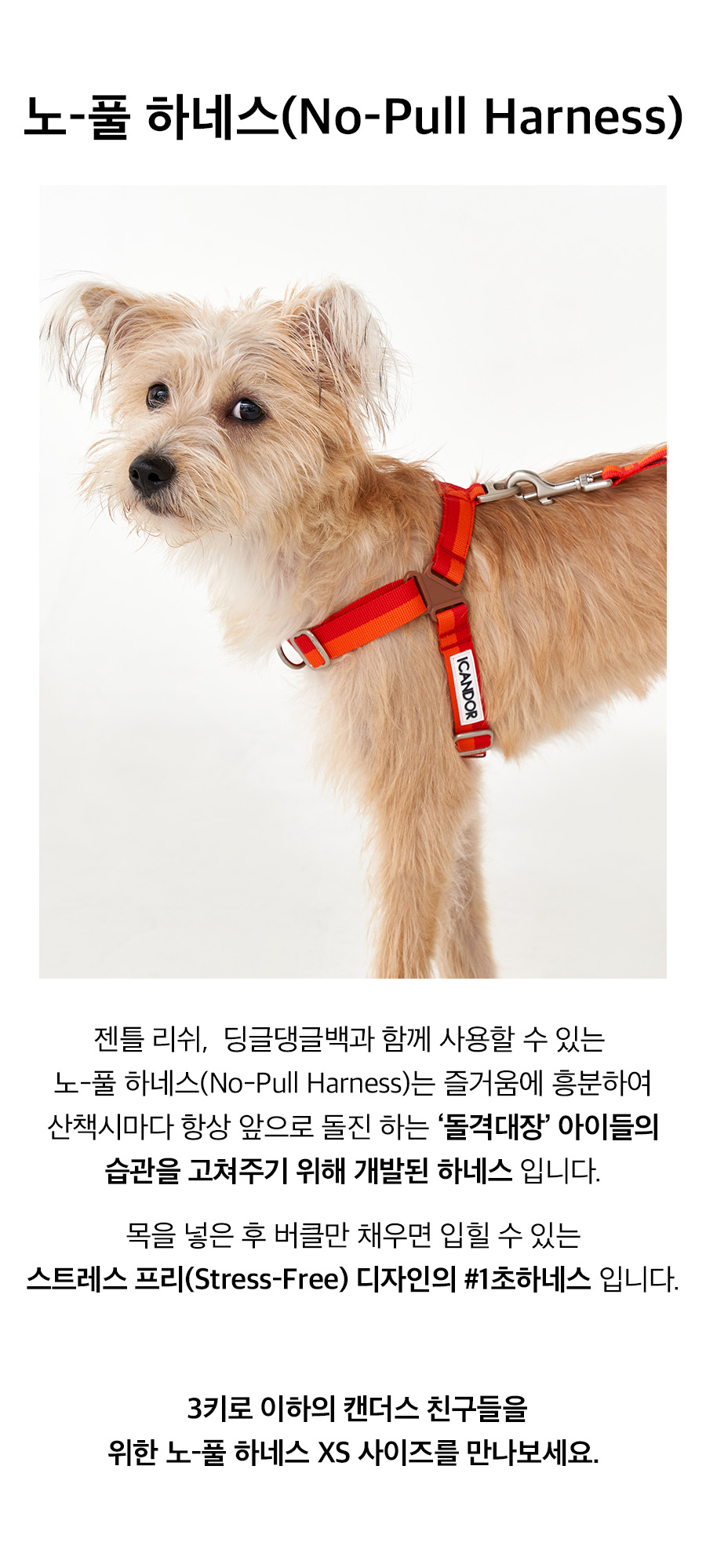 4_노풀하네스_썬셋.jpg