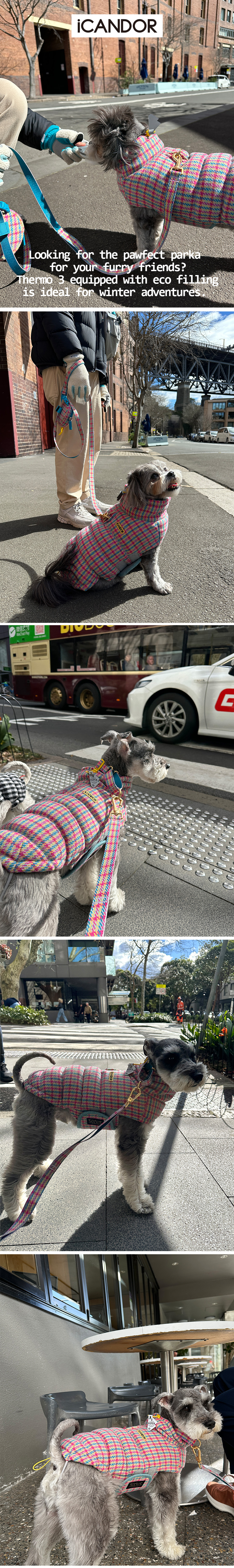 3_써모3_Candy Tartan_연출이미지1.jpg