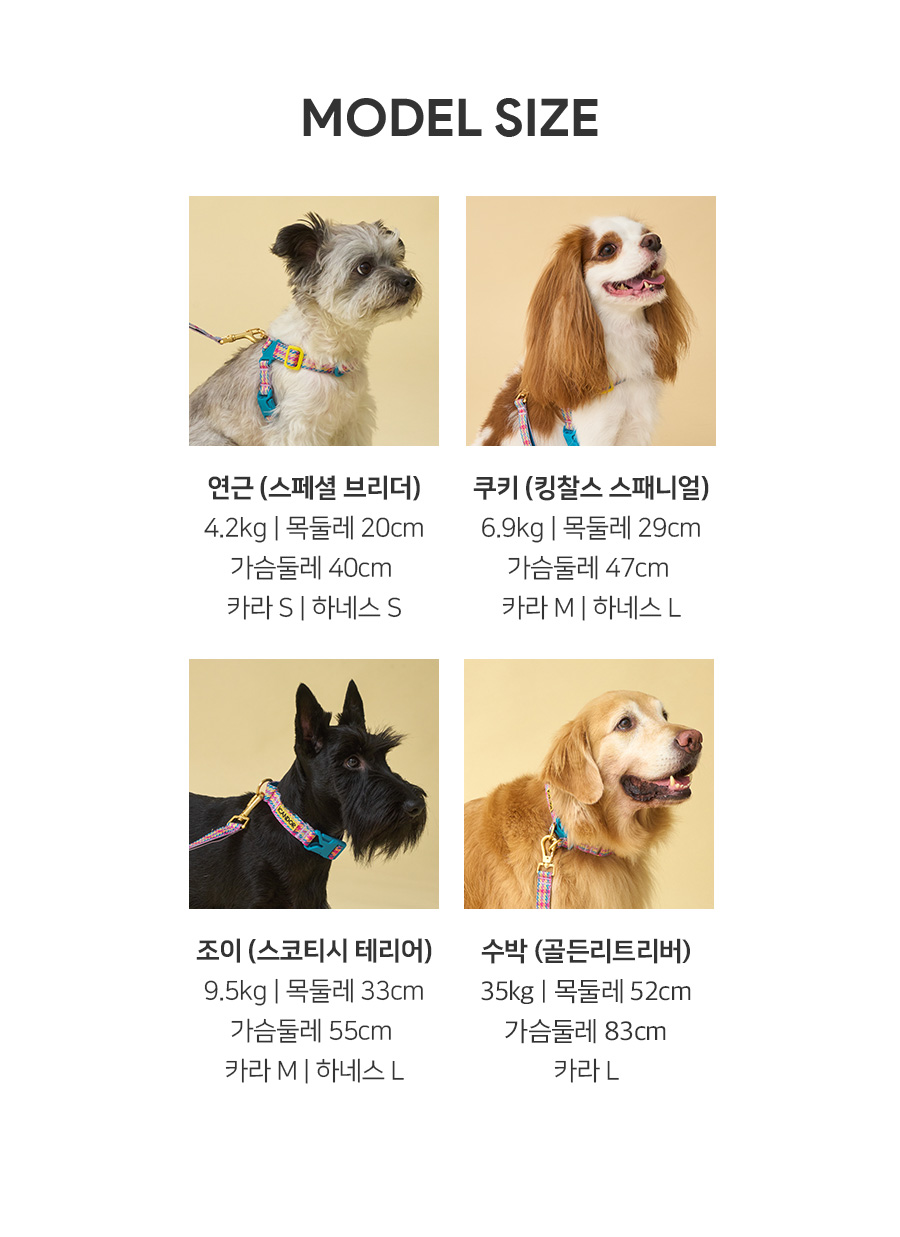 13-2_모델사이즈 _체크.jpg