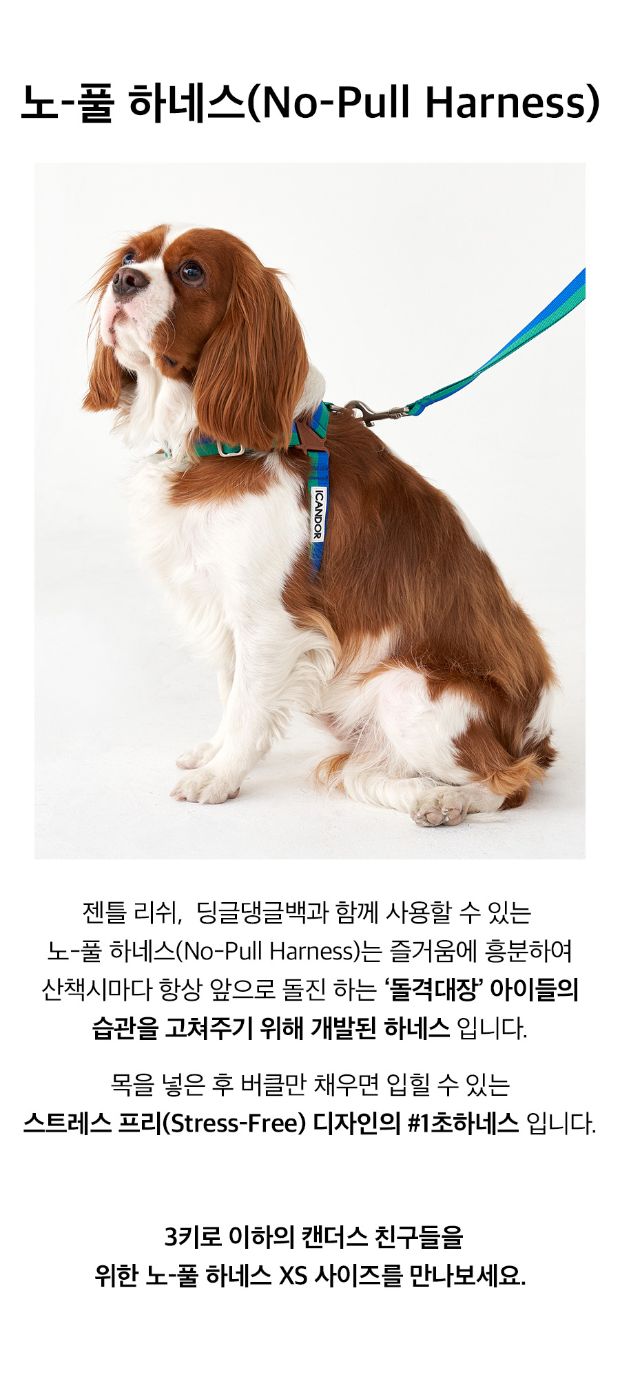 4_노풀하네스_포레스트.jpg
