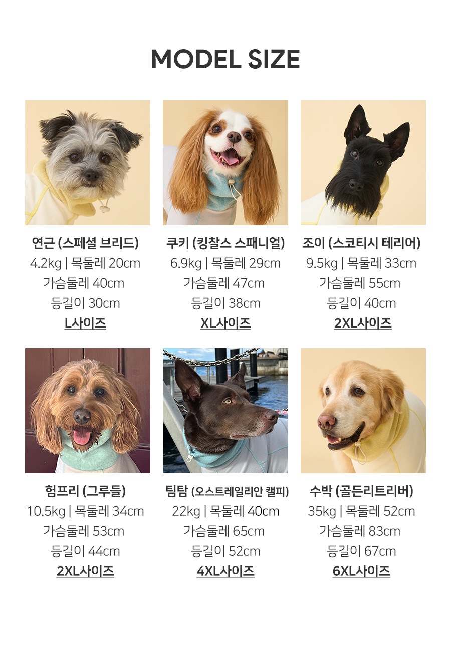 9_모델사이즈.jpg
